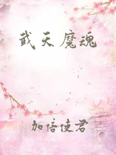 武天魔魂
