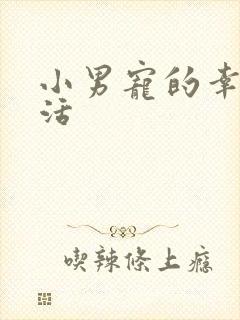 小男宠的幸福生活