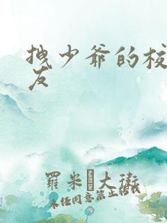 拽少爷的校花女友