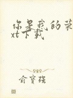 你是我的荣耀txt下载