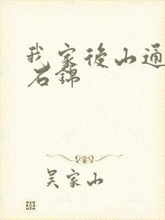 我家后山通仙界石锦