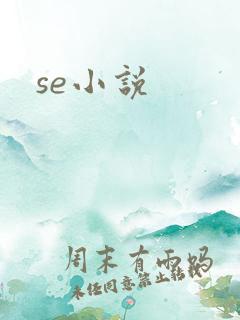 se小说