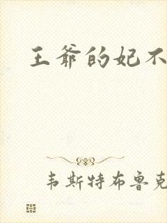 王爷的妃不是妃