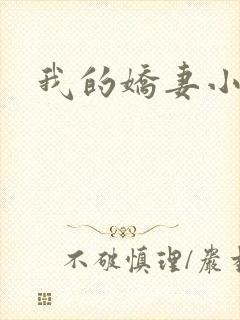 我的娇妻小说