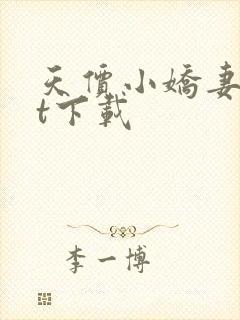 天价小娇妻txt下载