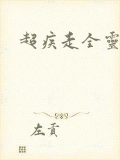 超疾走全灵兵器