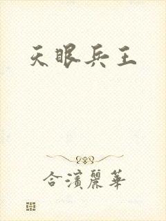 天眼兵王