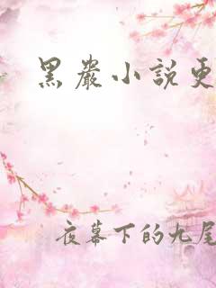 黑岩小说更新吧