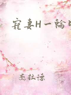 宠妻H一轮明月