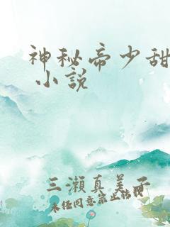 神秘帝少甜宠妻 小说