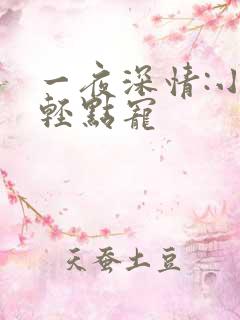 一夜深情:小叔轻点宠
