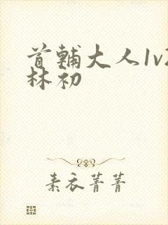 首辅大人1v2林初