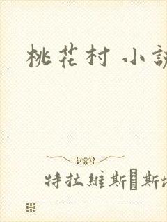 桃花村 小说