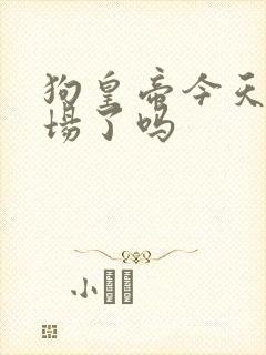 狗皇帝今天火葬场了吗