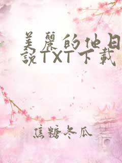 美丽的他日剧小说TXT下载