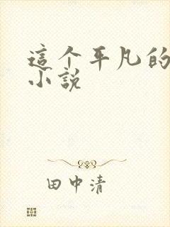 这个平凡的男子小说