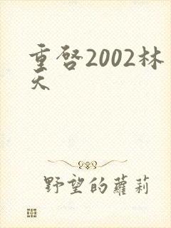重启2002林天