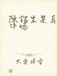 陈铭生是真实事件吗