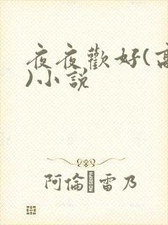 夜夜欢好(高h)小说