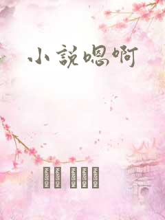 小说嗯啊