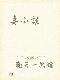 妻小说