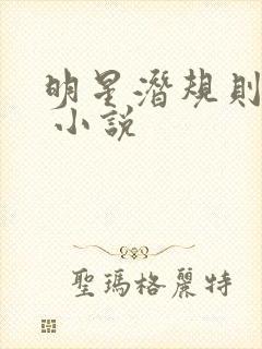 明星潜规则之皇 小说