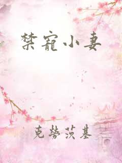 禁宠小妻