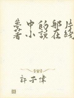 梦中的那片海原著小说在线阅读