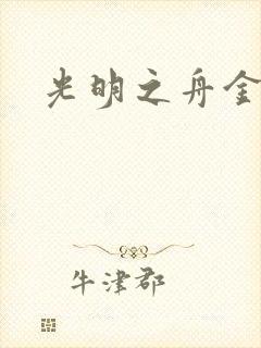 光明之舟金手指