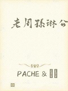 老周孙琳公交车