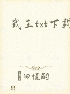 武王txt下载