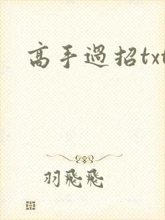 高手过招txt