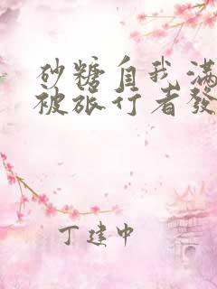 砂糖自我满足时被旅行者发现小说