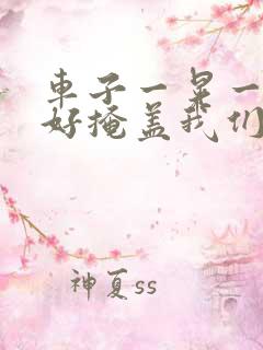 车子一晃一晃正好掩盖我们什么