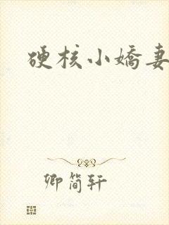 硬核小娇妻