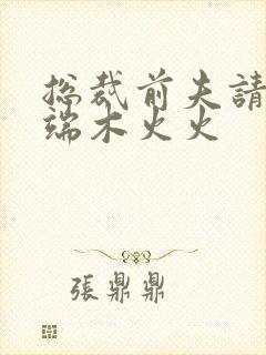 总裁前夫请自重端木火火