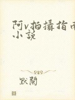 阿v拍摄指南说小说
