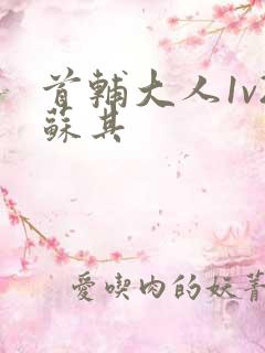 首辅大人1v2苏其