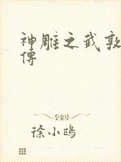 神雕之武敦儒大传