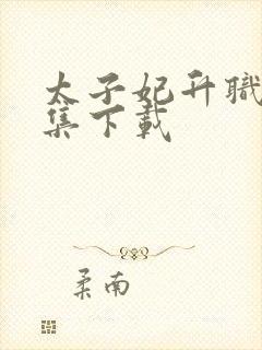 太子妃升职记全集下载