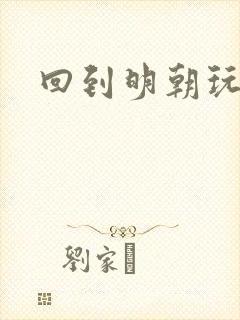 回到明朝玩网游