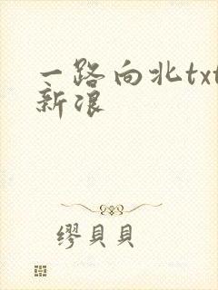 一路向北txt新浪