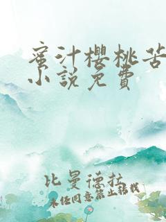 蜜汁樱桃苦咖啡小说免费