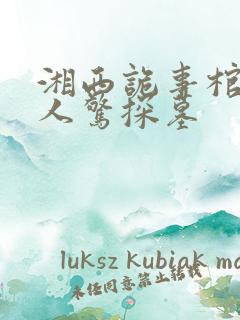 湘西诡事棺山道人惊探墓