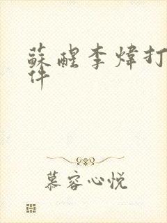 苏醒李炜打架事件