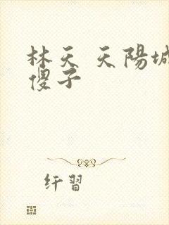 林天 天阳城 傻子