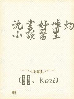 沈书妤傅灼抖音小说医生