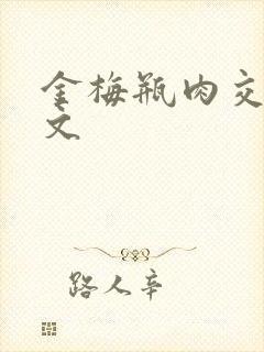 金梅瓶肉交白话文