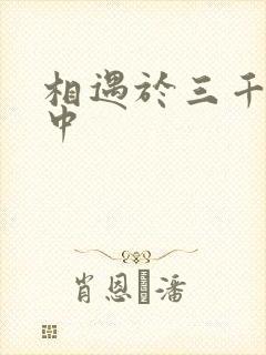 相遇于三千肉文中