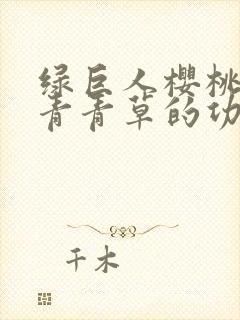 绿巨人樱桃荔枝青青草的功效